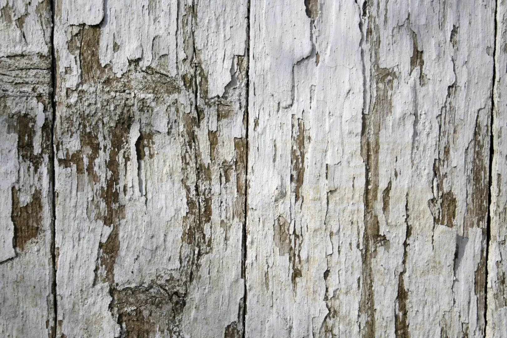 white-wood-texture-fence-texturepalace